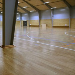 Sport parketta